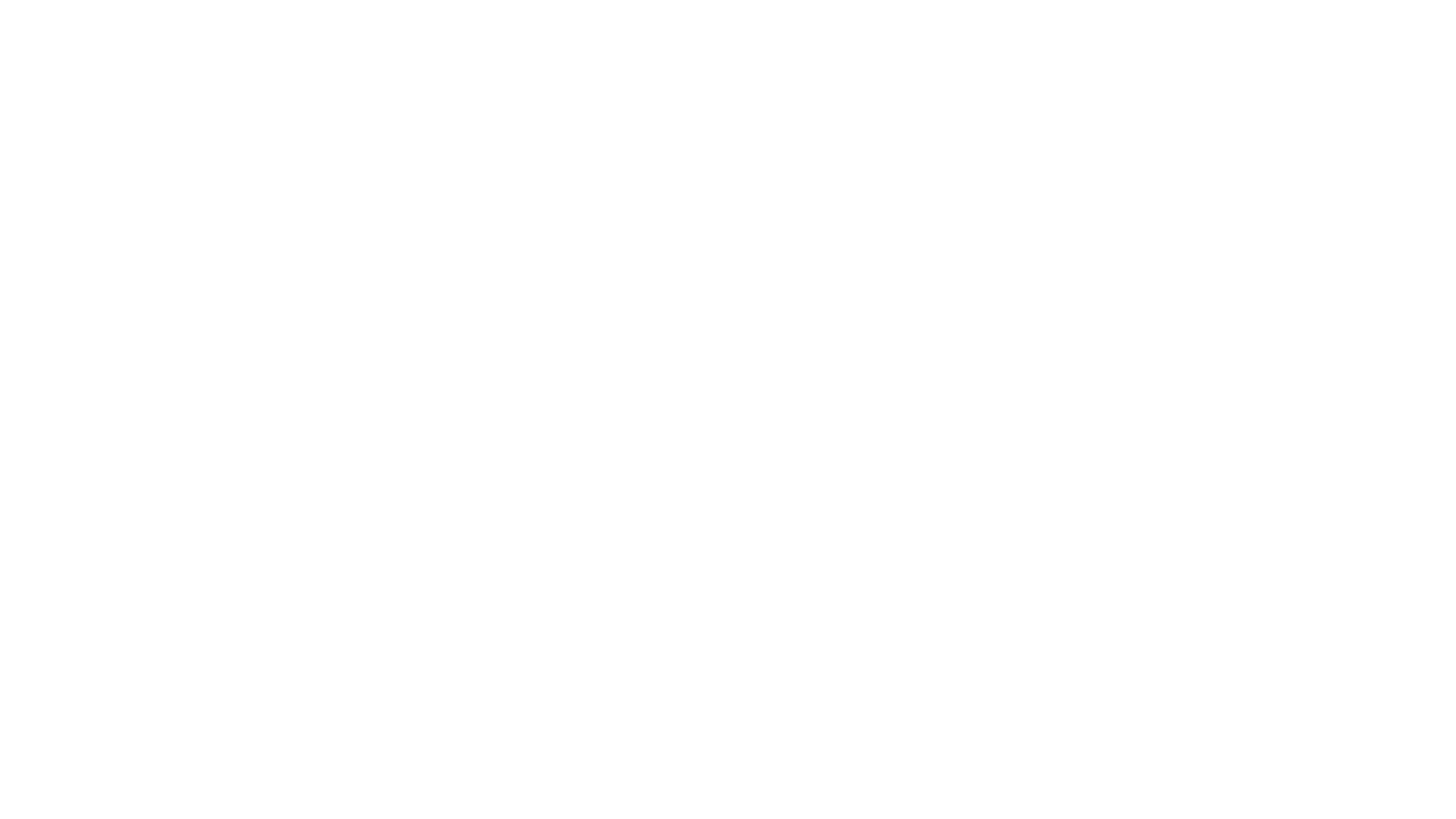 Synergic Rave Logo